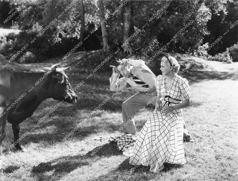 crp-14831 1937 Madeleine Carroll, Mischa Auer and a bull film It's All Yours crp-14831