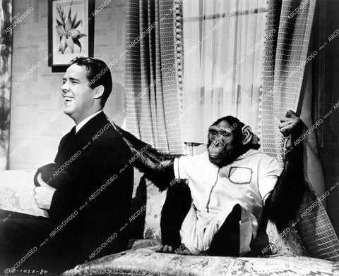 crp-15021 1944 Arthur Lake w Jiggs the chimp film Sailor's Holiday crp-15021