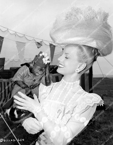 crp-15072 1946 pretty Janet Blair w a monkey film Gallant Journey crp-15072