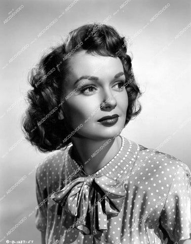 crp-15215 1950 Gloria Henry portrait film The Tougher They Come crp-15215