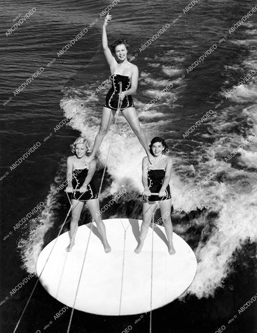 crp-15293 1953 trio of water skiing babes do pyramid on disc Cypress Gardens Fla Kathy Darlyn, Nancie Cooper, Jean Nathey crp-15293
