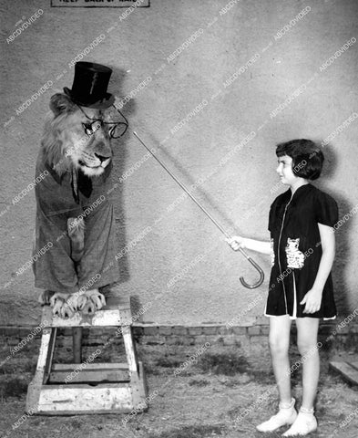 crp-15407 1930's little girl Marsha Goldberg w Bobby the tame lion at Los Angeles Zoo crp-15407