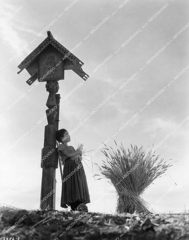 crp-16063 1939 Donald Douglas MGM short subject film Mark Carleton aka Forgotten Victory (Russia's Kubanke wheat) crp-16063