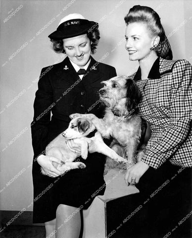 crp-16497 1945 Janet Blair & Pat Searles induct dogs into WWII WAVE program crp-16497