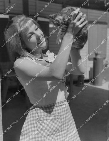 crp-01664 1963 lovely Liliane Brousse playing w a kitten Hammer film Maniac crp-01664