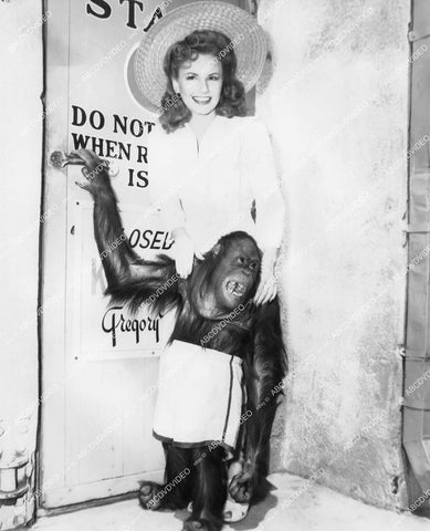 crp-17829 1943 Janet Blair w Jiggs the chimp monkey on set film Something to Shout About crp-17829