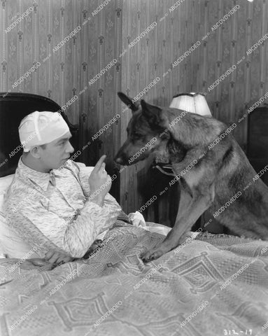 crp-18702 1927 Charles Delaney, Napoleon the dog silent film The Thirteenth 13th Hour crp-18702