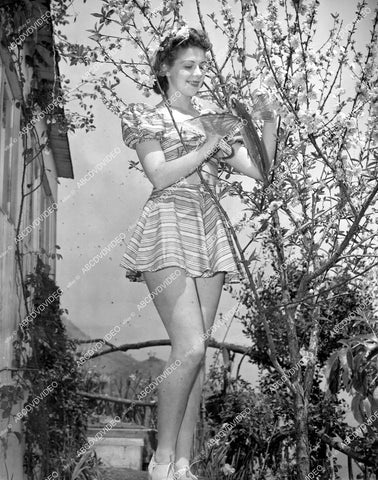 crp-19057 1940 pretty Peggy Lynn w flying fish Santa Catalina Island California crp-19057