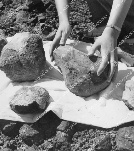 crp-02541 1948 paleontology Red Deer Valley Alberta, Canada couples dig up fossils crp-02541
