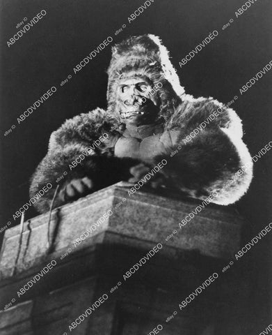 crp-02671 1980 man in ape/gorilla suit Prince Albert the Gorilla TV Ryan's Hope crp-02671