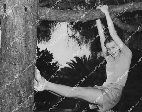 crp-03561 1948 pretty Jean Fulton, Miss South Africa, gets Hollywood contract crp-03561