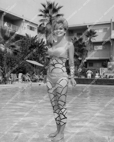 crp-03654 1968 sexy Ann Elder in bikini and body paint film For Singles Only crp-03654