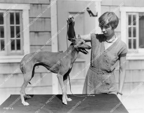 crp-04320 1930's woman w Whippet dog unknown MGM animal short subject crp-04320