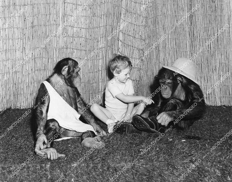 crp-04383 1938 Peter Behn w two monkeys chimps Pete Smith short subject Jungle Juveniles crp-04383