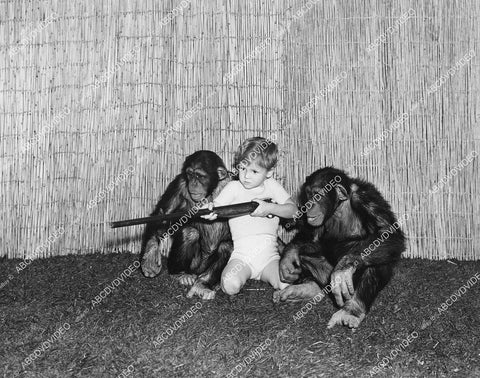 crp-04384 1938 Peter Behn w two monkeys chimps Pete Smith short subject Jungle Juveniles crp-04384