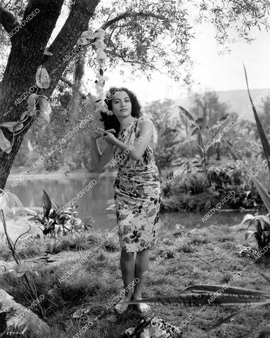 crp-04390 1941 pretty island girl in sarong Pete Smith short subject Fancy Answers crp-04390