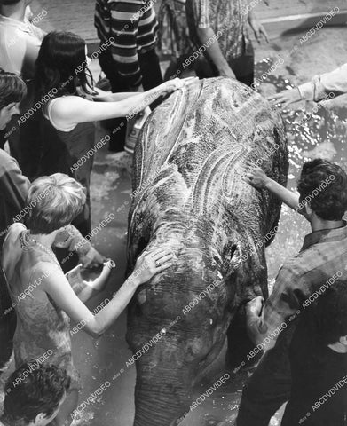 crp-00496 kids give an elephant a bath unknown film crp-00496