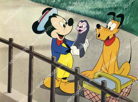 crp-05471 1968 Disney animated characters Pluto & seal film Mickey Mouse Anniversary Show crp-05471