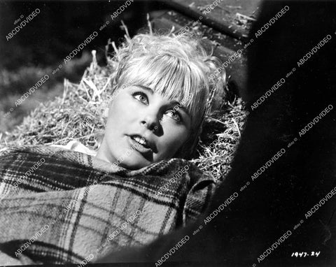 crp-08640 1965 beautiful Elke Sommer film The Art of Love crp-08640