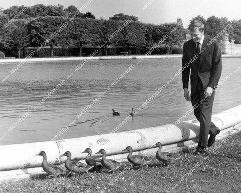 crp-08881 1963 Karl Bohm followin ducks in native Vienna on location film Come Fly with Me crp-08881