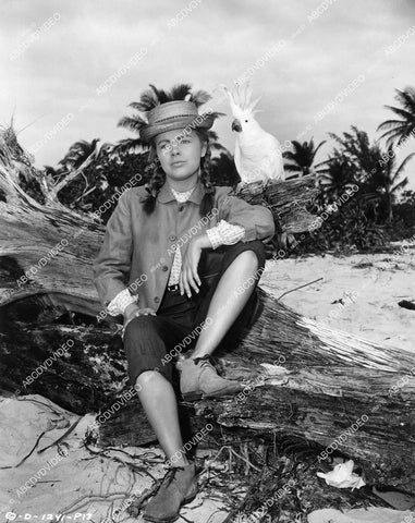 crp-09264 1951 candid Terry Moore and cockatoo bird film The Barefoot Mailman crp-09264