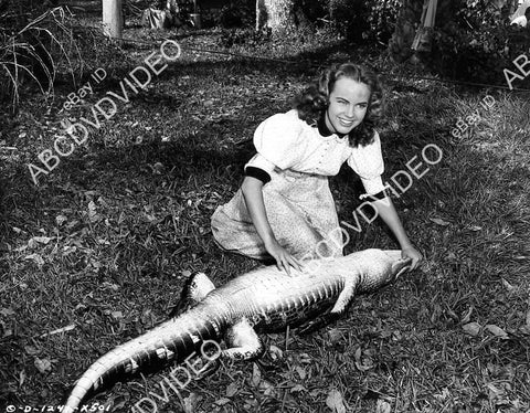 crp-09282 1951 Terry Moore wrestling an alligator film The Barefoot Mailman crp-09282