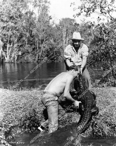 crp-09283 1951 men taking alligator out of the swamp film The Barefoot Mailman crp-09283