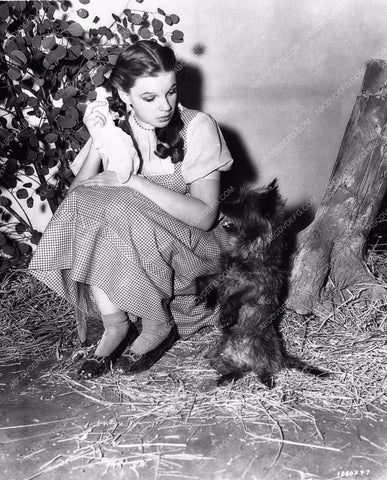 Judy Garland Ray Bolger Jack Haley Bert Lahr The Wizard of Oz woo810-32